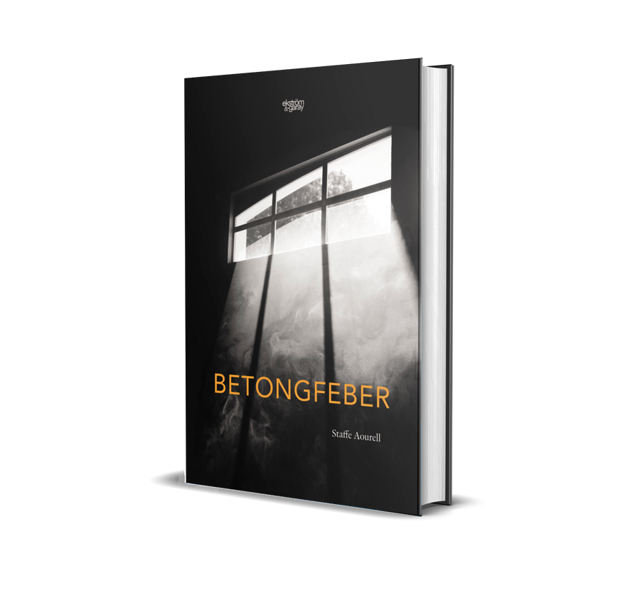 Omslagsbilden till Den Betongfeber